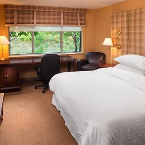 Guest room 1 King City view